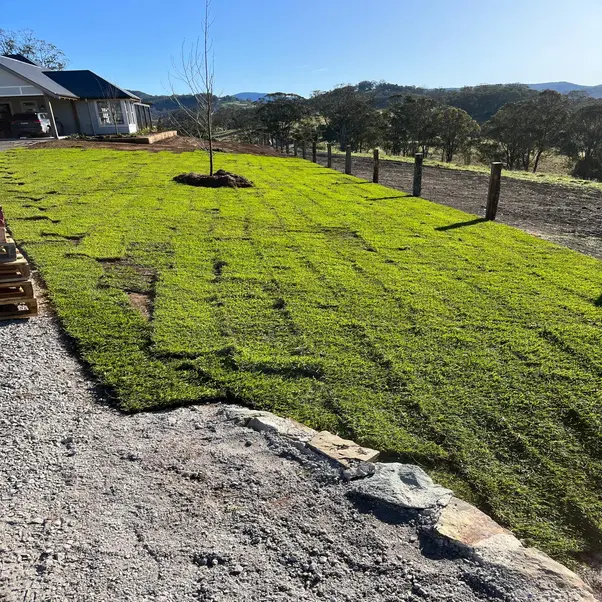 turf installation