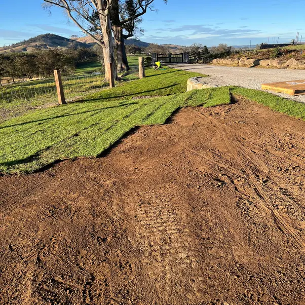 turf installation sydney